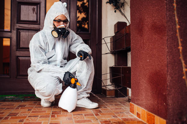 Reliable Cockroach Control contractor in Prospect Park, NJ by Nex Pest Control